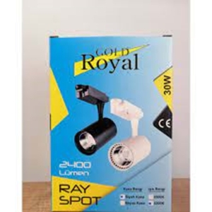 30W RAY SPOT SİYAH KASA KIRIK BEYAZ